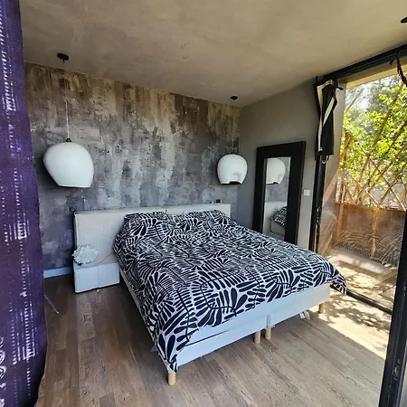 Charming In The Heart Of The Mediterranean Garrigue