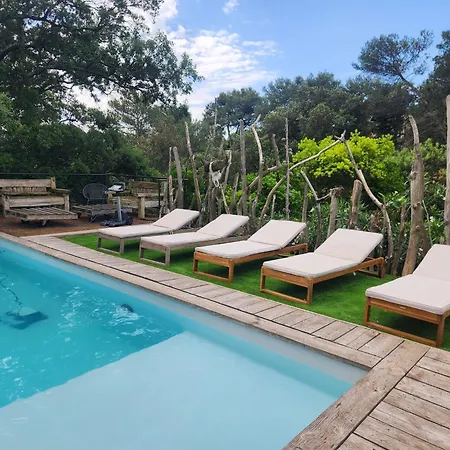 Charming In The Heart Of The Mediterranean Garrigue Willa